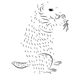 Gopher enjoys a plant snack Dot to Dot Worksheet