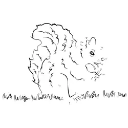 Squirrel Woodland Creature Fun Dot to Dot Worksheet