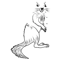 Standing Forest Rodent Game Dot to Dot Worksheet