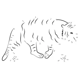 Tiger Wild Animal Number Trace Dot to Dot Worksheet