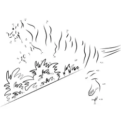 Big Cat Point Connection Game Dot to Dot Worksheet