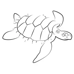 Ocean Turtle Join Numbers Game Dot to Dot Worksheet