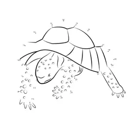 Complete the ocean reptile Dot to Dot Worksheet