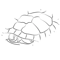 Join the Turtle Numbers Dot to Dot Worksheet