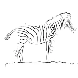 African Safari Equine Fun Dot to Dot Worksheet