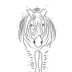 Standing Zebra Dot Challenge Dot to Dot Worksheet