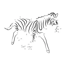 Zebra Figure Formation Dot to Dot Worksheet