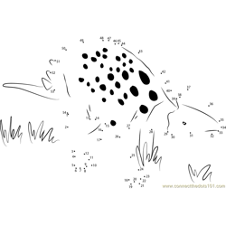 Minmi Dinosaurs Dot to Dot Worksheet