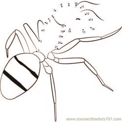 Attack Of Ant Dot to Dot Worksheet