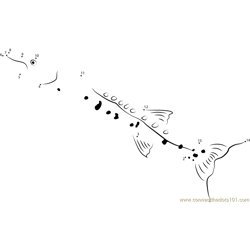 Barracuda Long Side Dot to Dot Worksheet