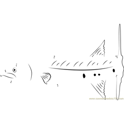 Barracuda Dot to Dot Worksheet