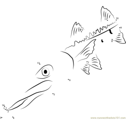 Barracuda down Dot to Dot Worksheet