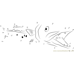 Blackfin Barracuda Dot to Dot Worksheet