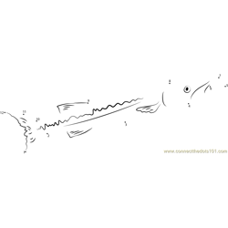 Coastal Pelagics Dot to Dot Worksheet