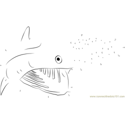 Angry Basking Shark Dot to Dot Worksheet