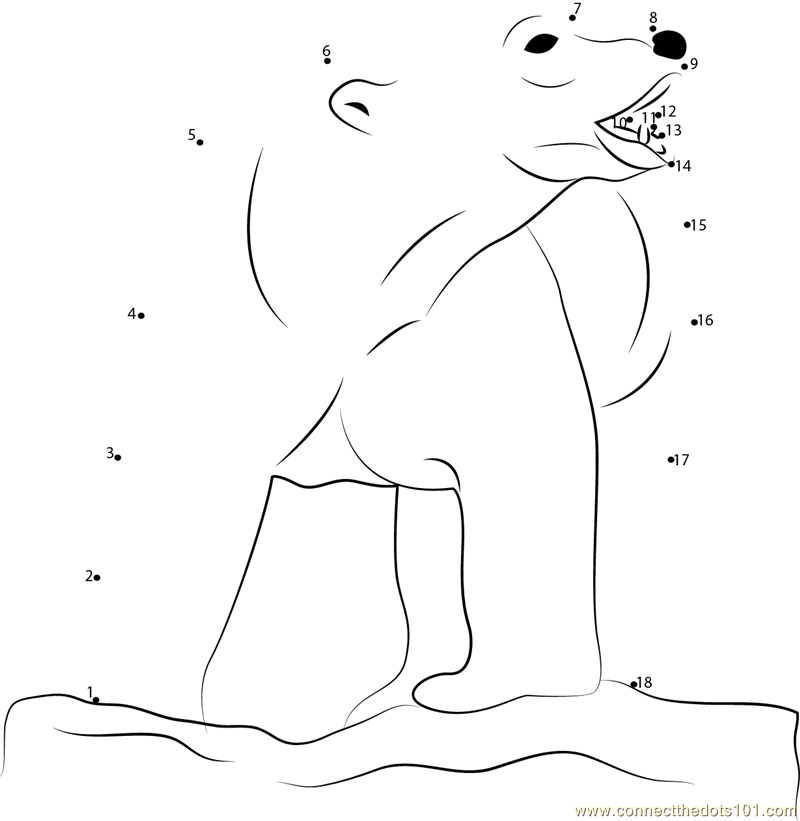Polar Bear Attack