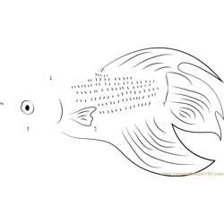 Betta Fish Dot to Dot Worksheet