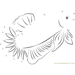 Dragon Betta Fish Dot to Dot Worksheet