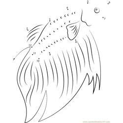 Female Betta Fish Dot to Dot Worksheet