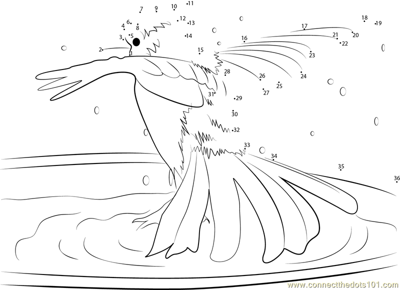 Blue Jay in the Bird Bath