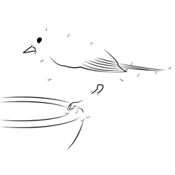 Robin Bird Shape Formation Dot to Dot Worksheet