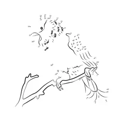 Predatory Bird Perched Branch Dot to Dot Worksheet