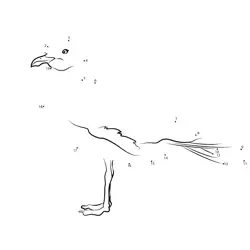Seabird Gazing Out Dot to Dot Worksheet
