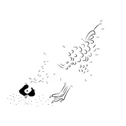 Farm Fowl Numerical Fun Dot to Dot Worksheet