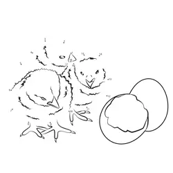 Newborn Chicks and Shells Dot to Dot Worksheet