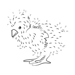 Young Poultry Creature Dot to Dot Worksheet