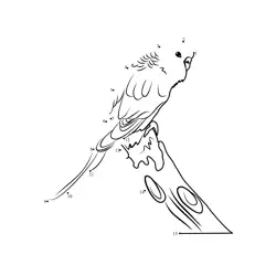 Parakeet Number Challenge Dot to Dot Worksheet