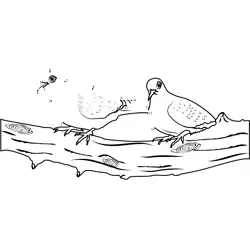 Two Doves Resting Branch Dot to Dot Worksheet