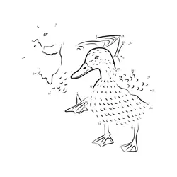 Pair of Aquatic Birds Dot to Dot Worksheet