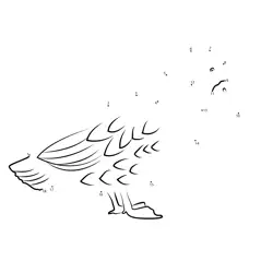 Duck Waddling On Sandy Shore Dot to Dot Worksheet