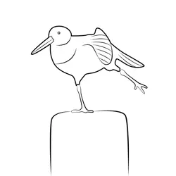 Graceful Waterfowl Avian Subject Dot to Dot Worksheet