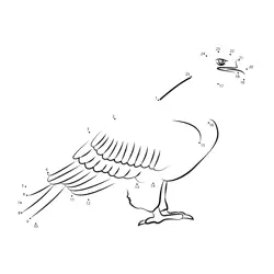 Unveil the Bird of Prey Dot to Dot Worksheet