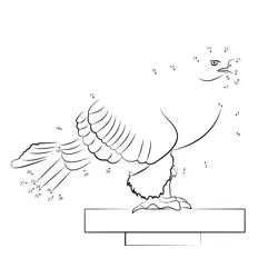 Raptor Bird Numeric Challenge Dot to Dot Worksheet