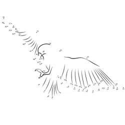 Educational Avian Challenge Dot to Dot Worksheet