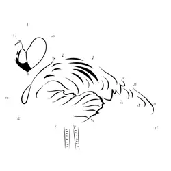 Beautiful Flamingo Dot to Dot Worksheet