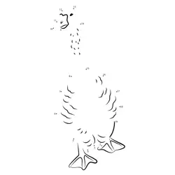 Goose Figure Study Game Dot to Dot Worksheet