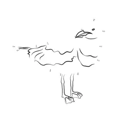 Seagull Formation Challenge Dot to Dot Worksheet