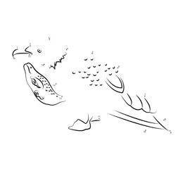 Seagull Catches Fish Game Dot to Dot Worksheet