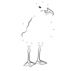 Gull Figure Challenge Dot to Dot Worksheet