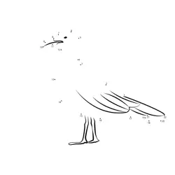Young Seagull Creation Game Dot to Dot Worksheet