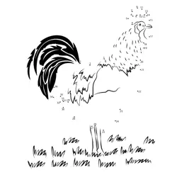 Rustic Rooster Numeric Quest Dot to Dot Worksheet