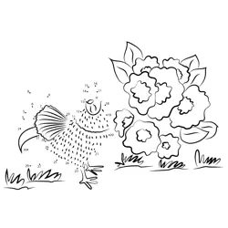 Hen Among Blooming Flowers Dot to Dot Worksheet