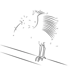 Graceful Heron Takes Flight Dot to Dot Worksheet