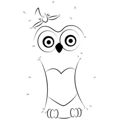 Charming Owl Numerical Game Dot to Dot Worksheet