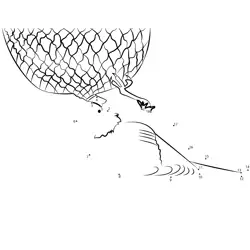 Exotic Bird Numeric Quest Dot to Dot Worksheet