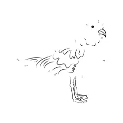 Join the Avian Points Dot to Dot Worksheet